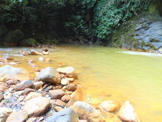 Fluss Cajon Costa Rica