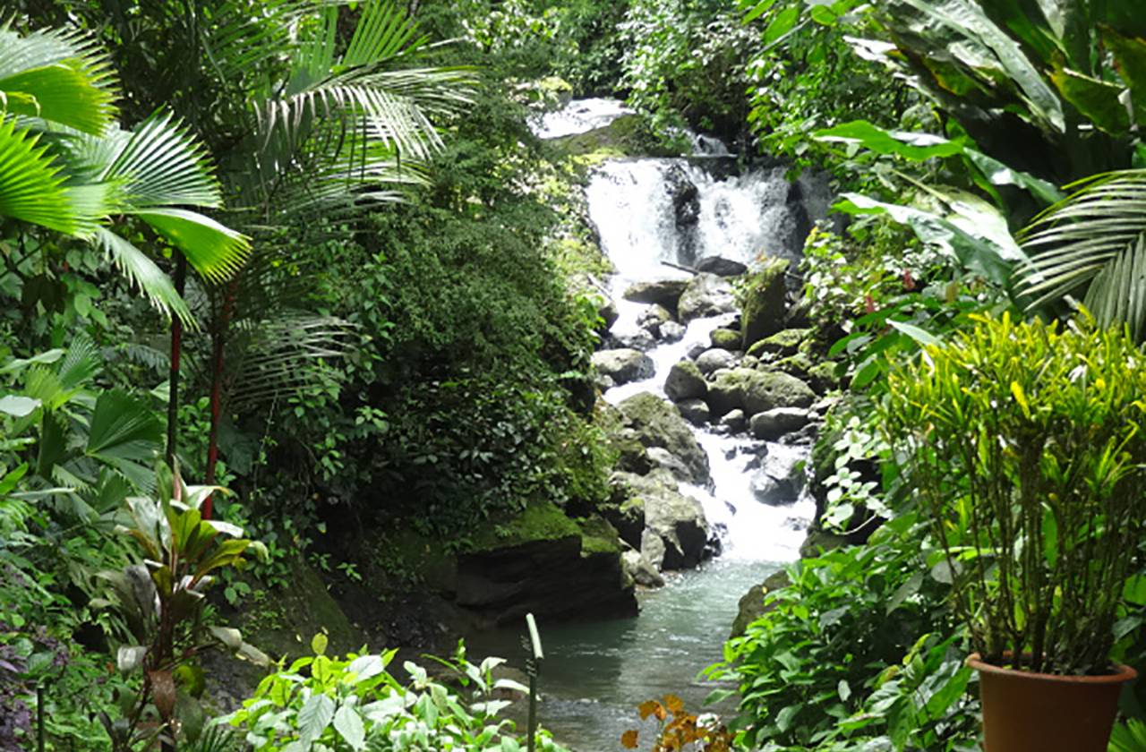 Wasserfall Costa Rica copia