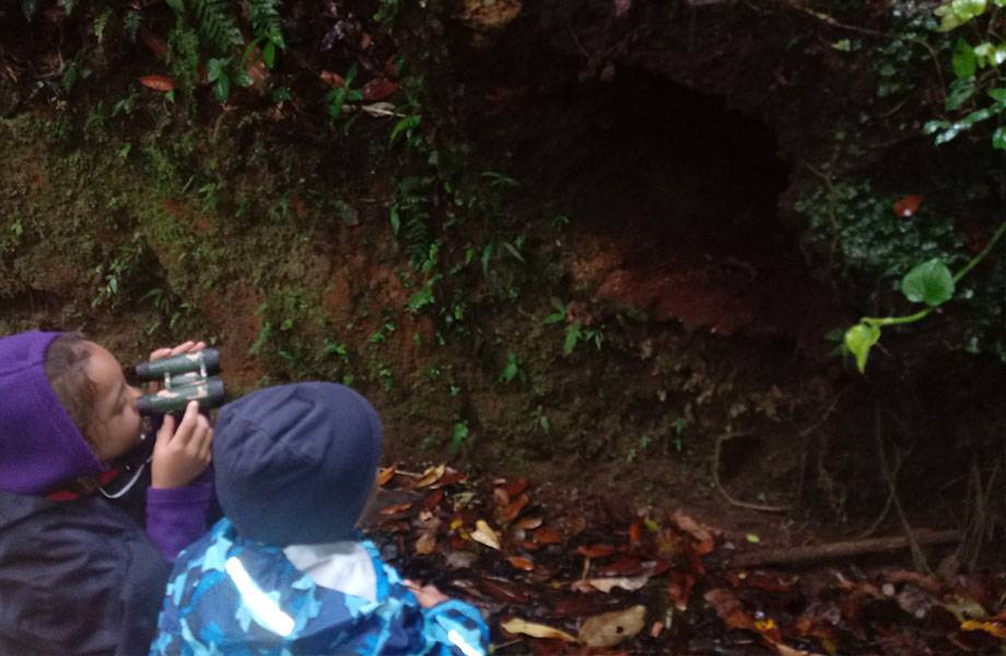 Monteverde Reservat Entdecken