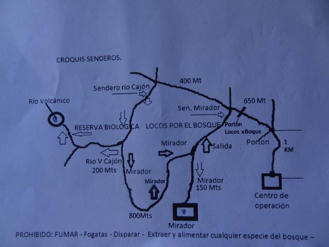 Mappe locos por el bosque