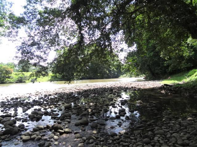 Sarapiqui Fluss Costa Rica Safari Floating