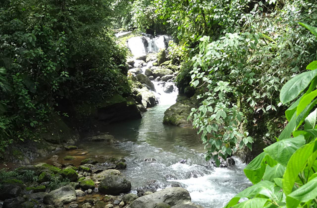 Wasserfall Costa Rica Santa Juana1