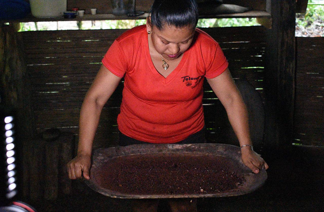 cacao molido