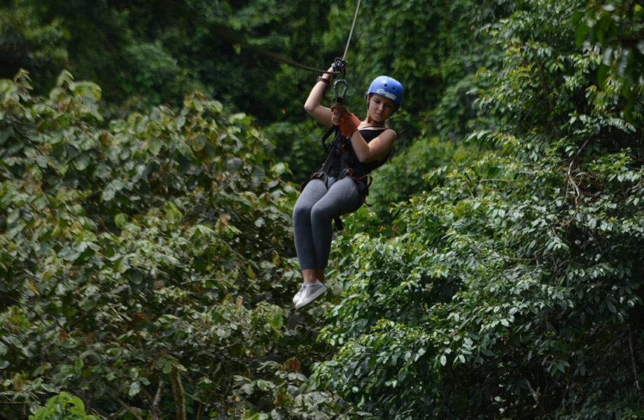 canopy at san carlos