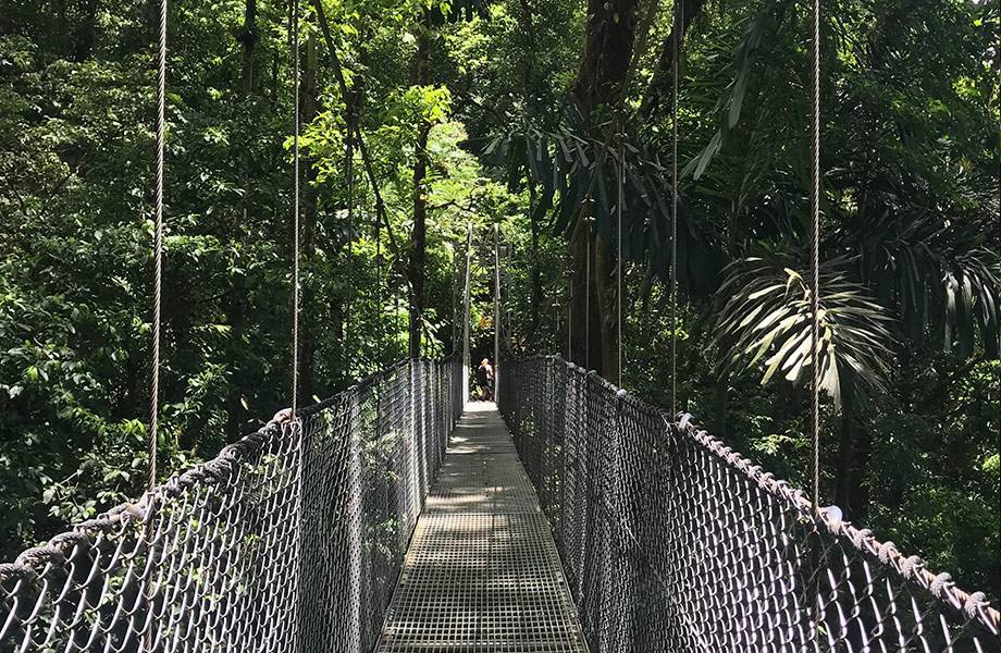 mystico hanging bridges san carlos