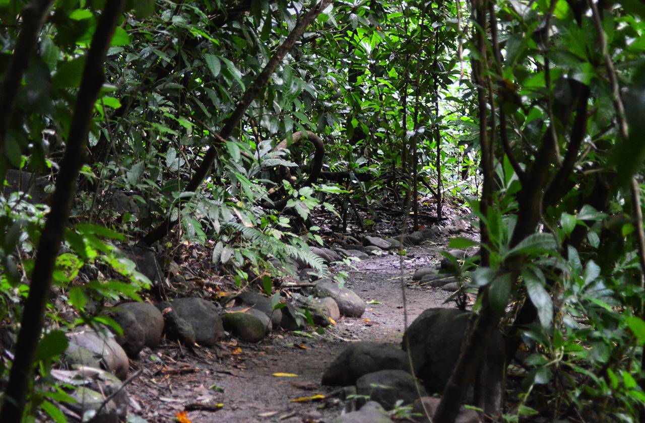 Carara Nationalpark C.Brandt