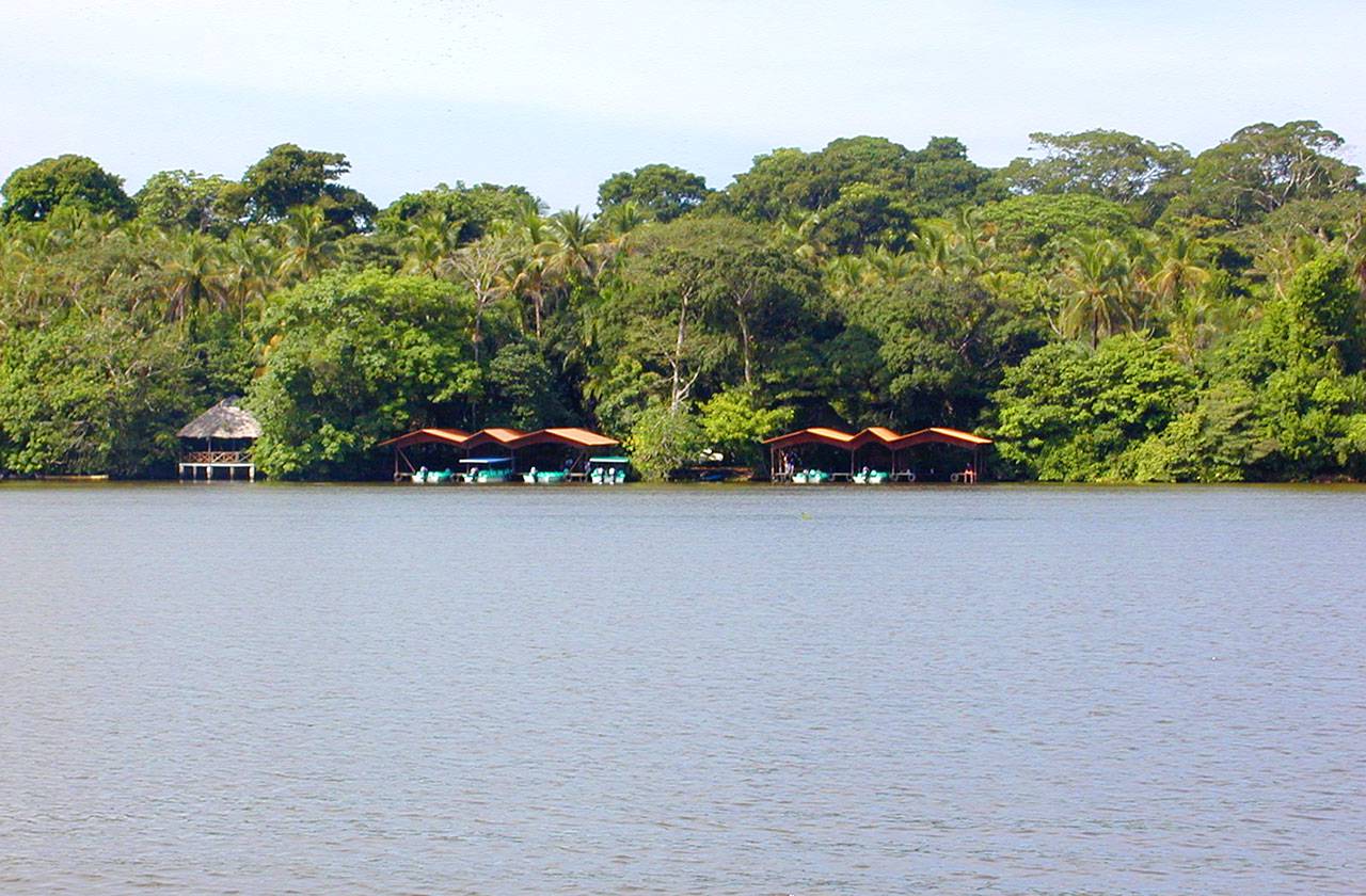 Tortuguero