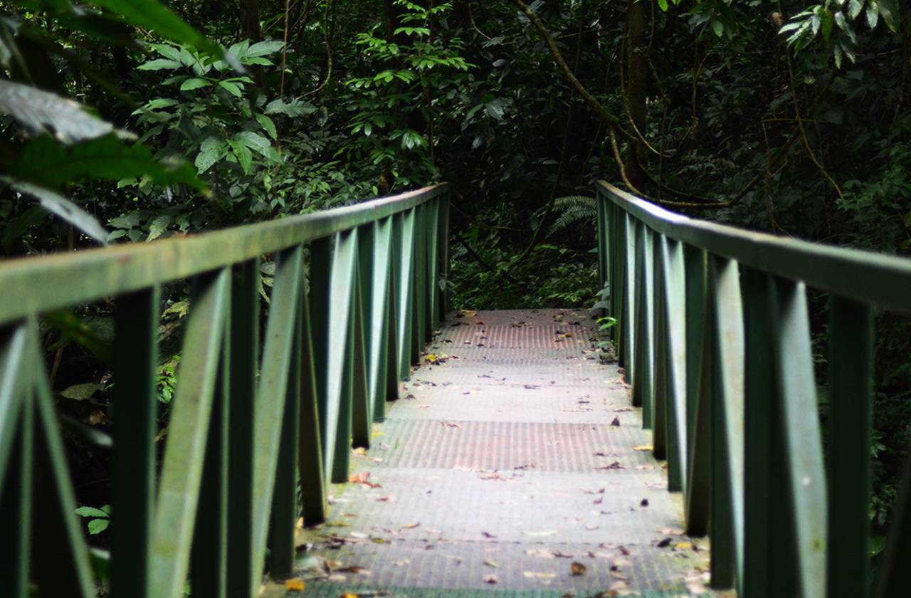 Brücke Carara Nationalpark