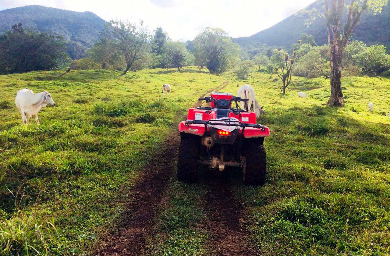 ATV San Carlos C.Brandt