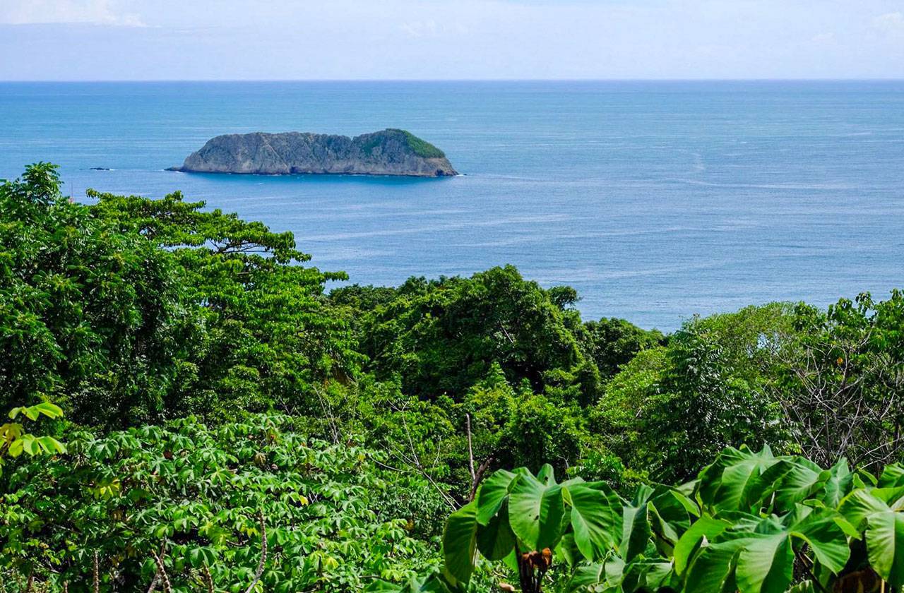 Manuel Antonio green season C.Brandt