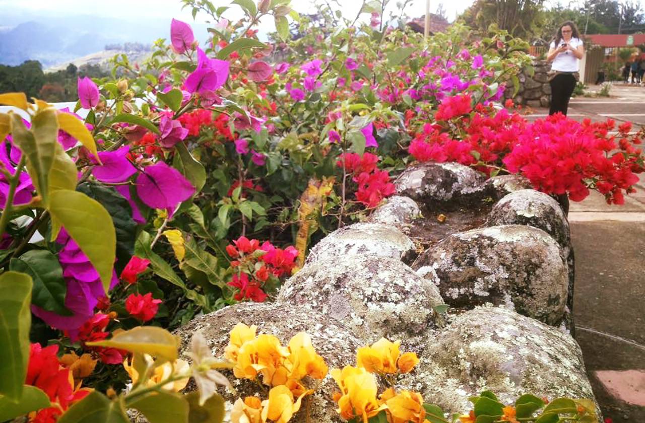 Blumen Aussichtspunkt Ujarras