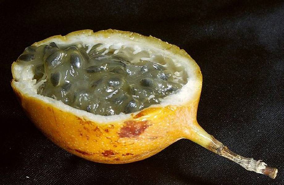 granadilla