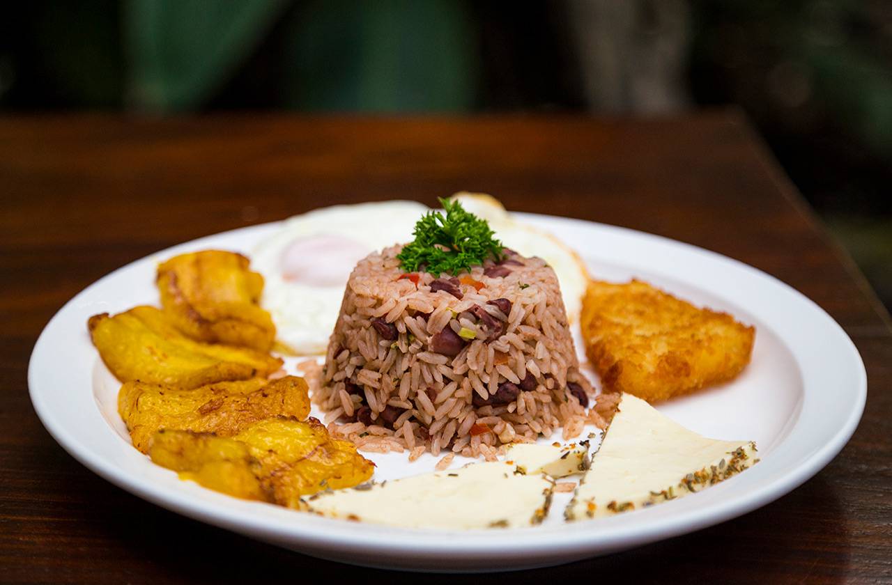 gallo pinto