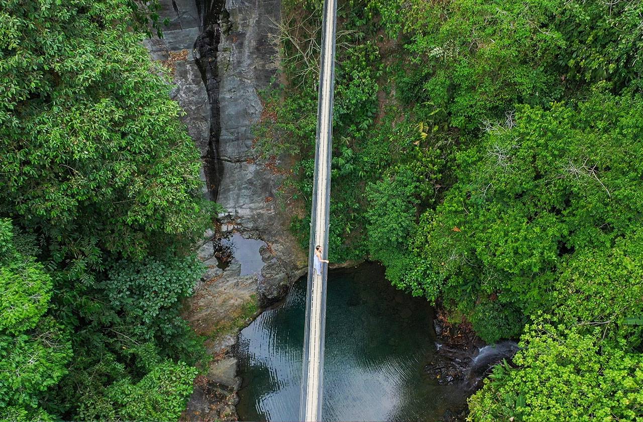 puentes colgantes