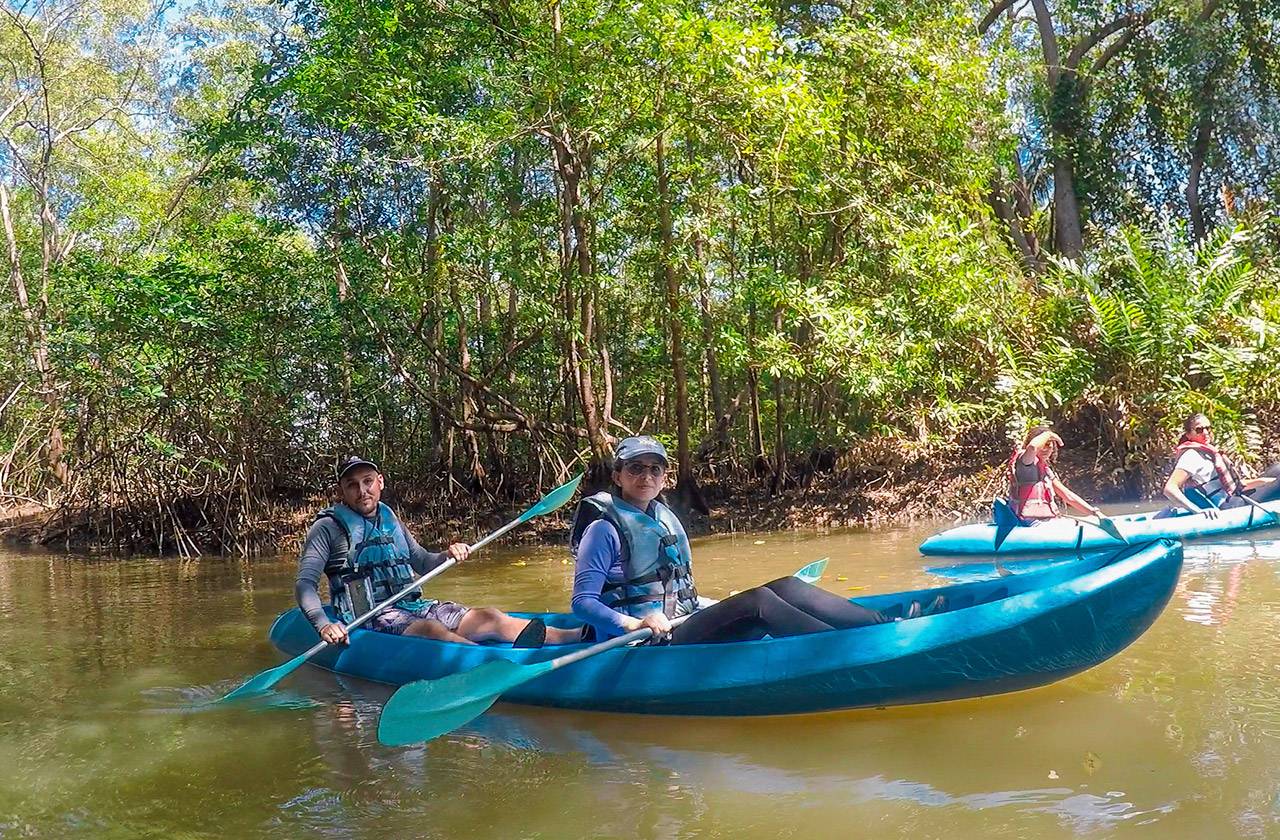 kayak damas mangroove