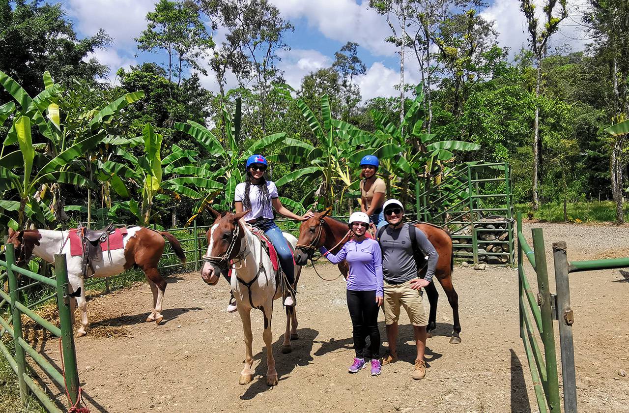 tocori horses and people