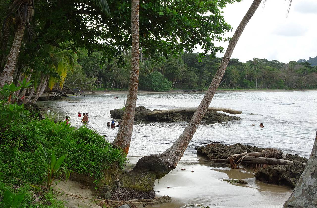 Puerto Viejo de Limon c