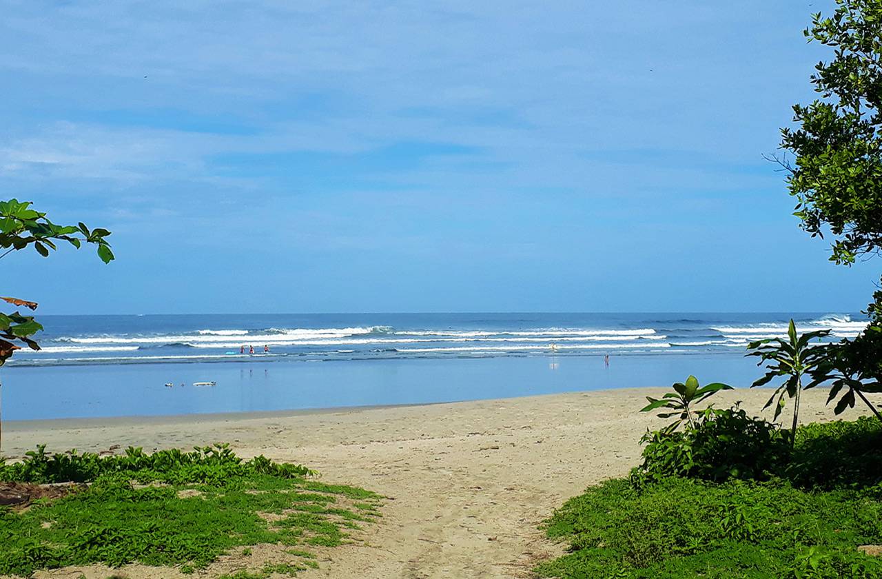 Las Impresionantes Playas De Nosara En Guanacaste Ara Tours Costa Rica