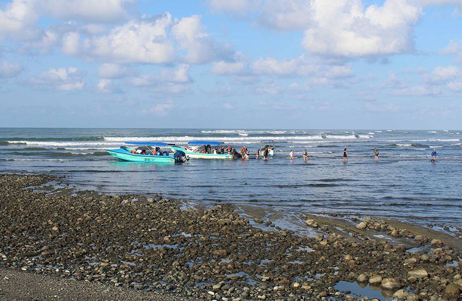 la sirena 11