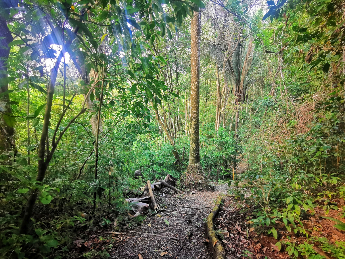 Leerer Wanderweg ohne Touristen