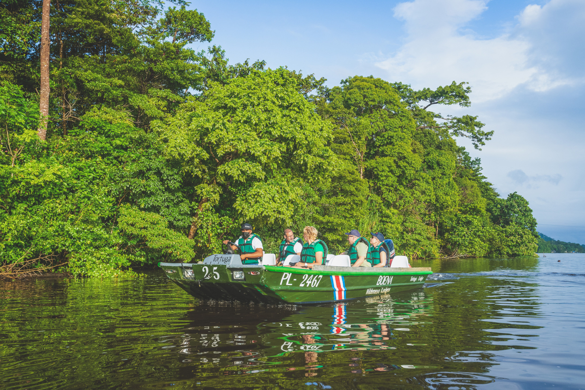 Boot Tour in den Kanälen des Tortuguero Nationalparks