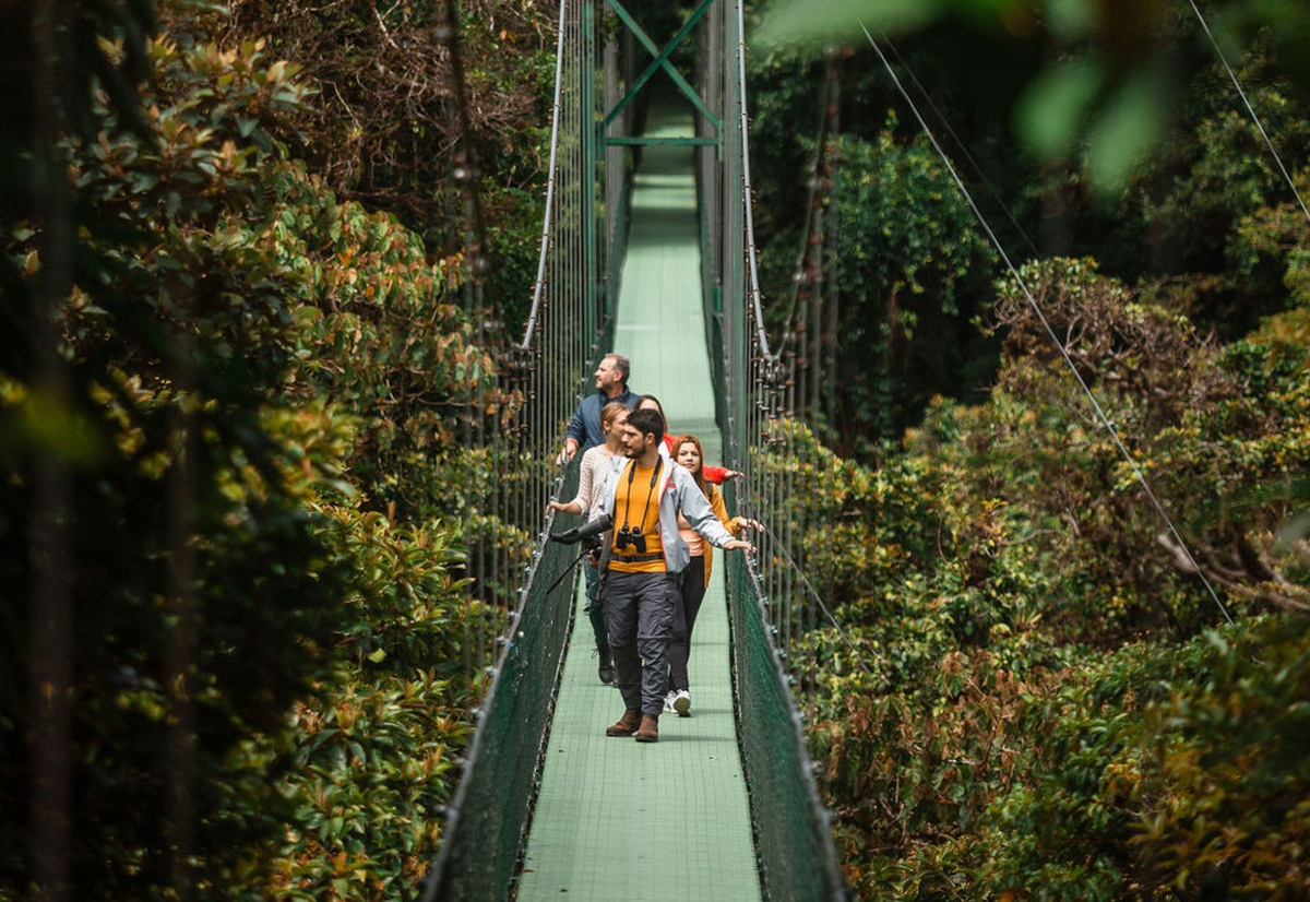 Führer mit Gruppe Touristen über hängenden Brücken in Monteverde