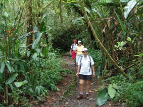 Parque Nacional Tapantí