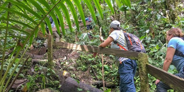 Costa Rica tiene el recurso más importante del mundo, ¿Será oro o petroleo?