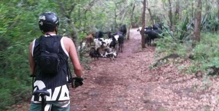 Bicicleta de montaña en Rincón de la Vieja