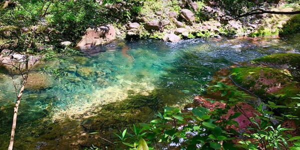 5 Gründe um Costa Rica während der Regenzeit zu besuchen