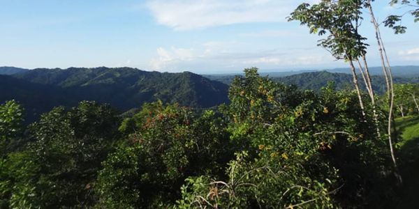 5 ideas para un viaje sostenible en Costa Rica