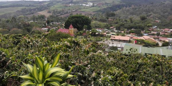 Aquiares, El Pueblo del café de Costa Rica