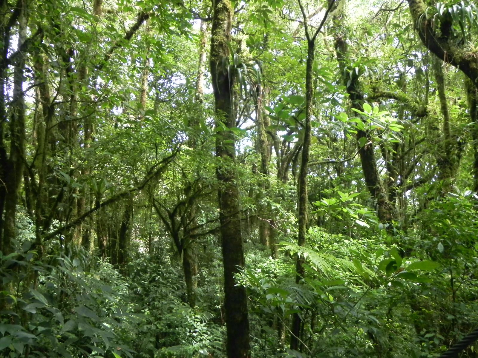 Zona Protectora Arenal – Monteverde