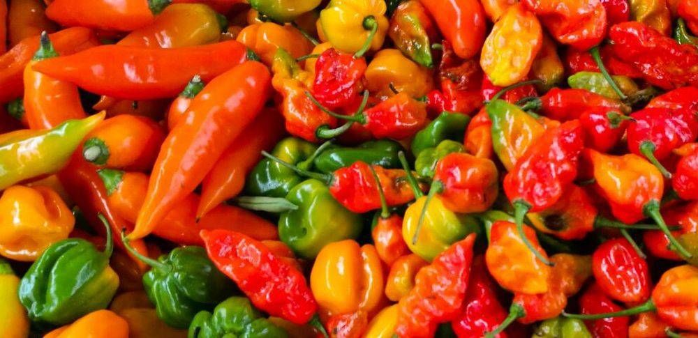 From the market to the table