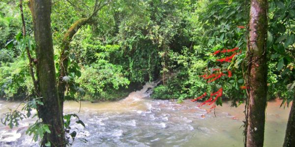 Need to relax? Become one with nature in Sarapiquí