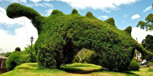 Parque de Zarcero: Punto destacado hacia la Fortuna