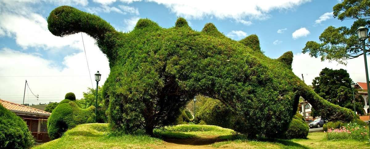 Parque de Zarcero: Punto destacado hacia la Fortuna