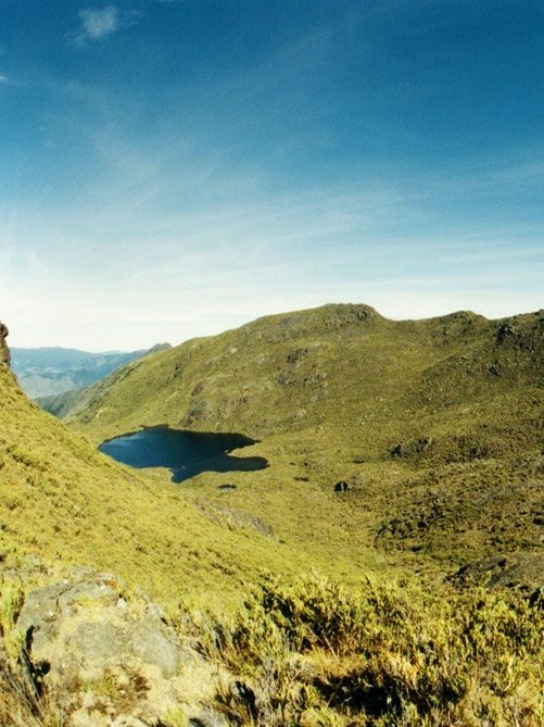 Chirripó Nationalpark