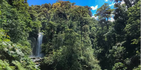 La Paz Waterfall Garden