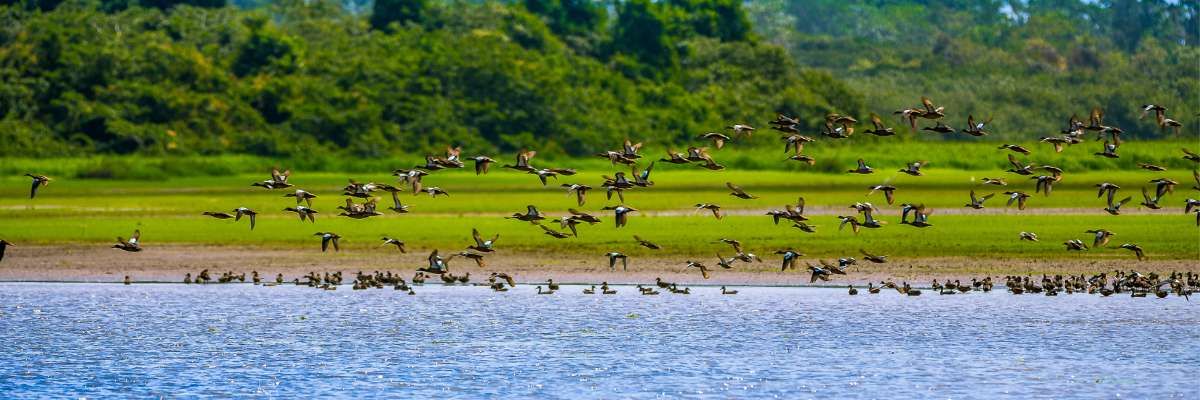 5 Razones para visitar Costa Rica durante la época lluviosa