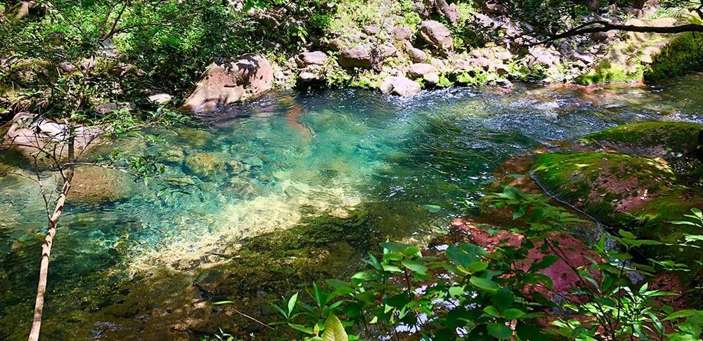 5 Razones para visitar Costa Rica durante la época lluviosa