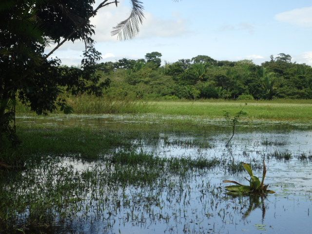 Refugio Vida Silvestre Caño Negro