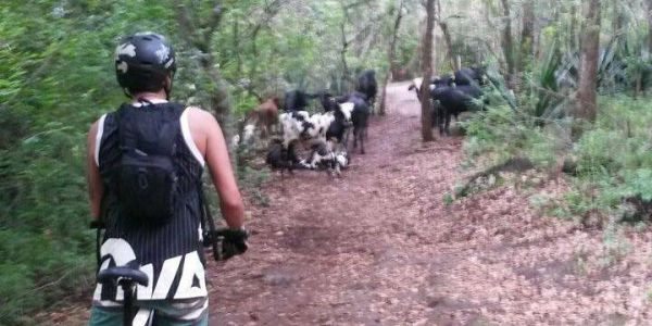 Bicicleta de montaña en Rincón de la Vieja