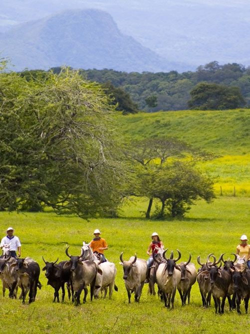 Guanacaste Nationalpark