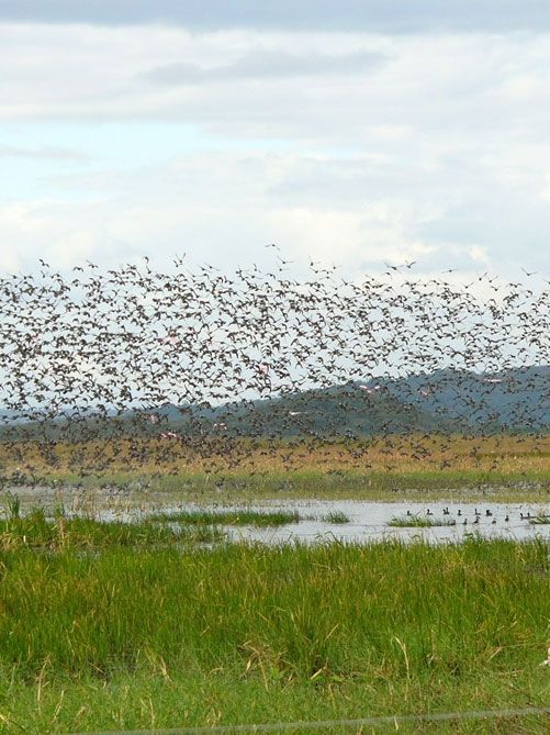 Palo Verde National Park