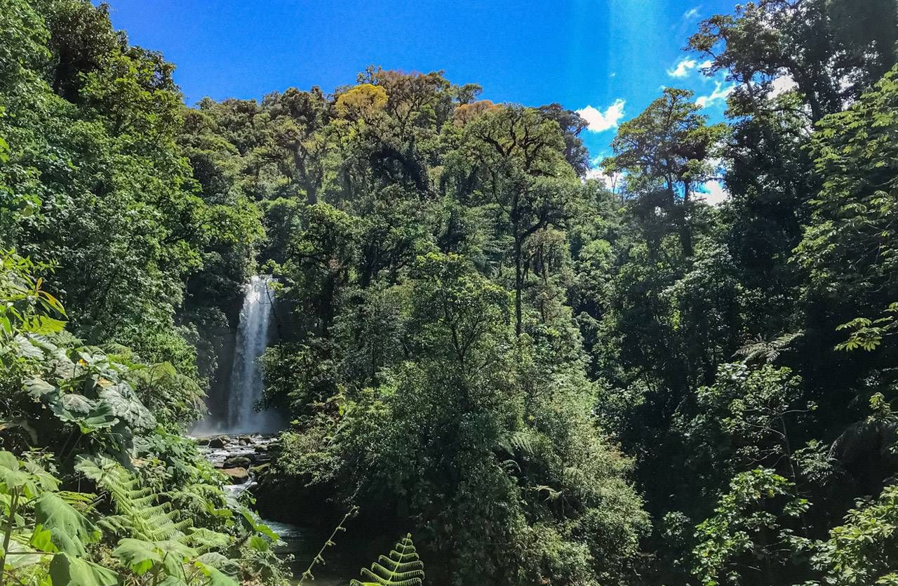 La Paz Waterfall Garden