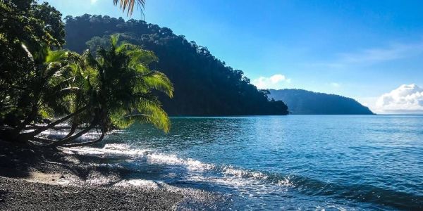 ¿En busca de bienestar? Disfruta del yoga en medio de la naturaleza