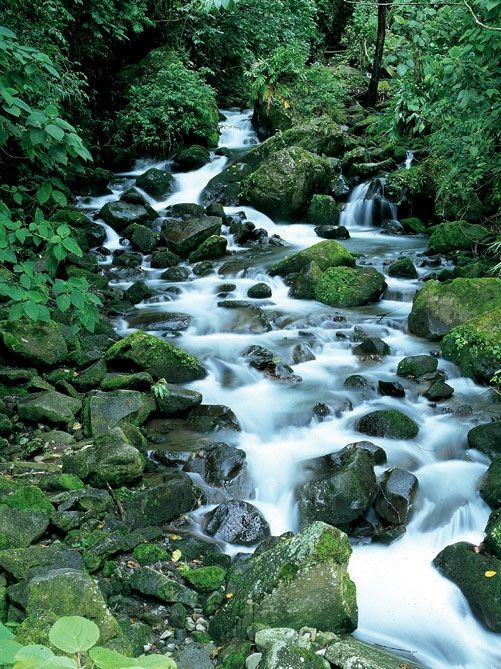 Braulio Carrillo Nationalpark