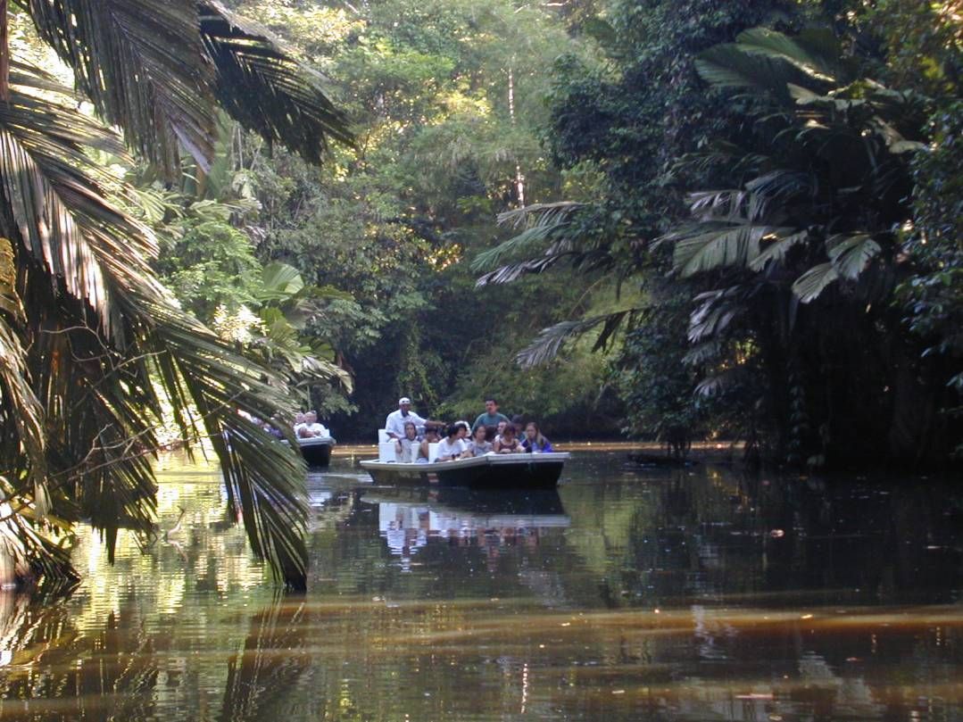 Tortuguero Nationalpark