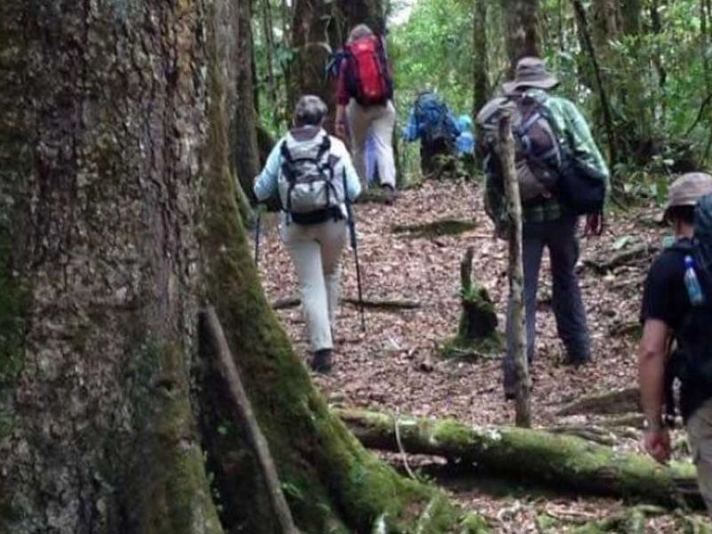 Costa Rica Quetzal Route Trekking